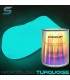 1L Peinture phosphorescente Night-glow TURQUOISE